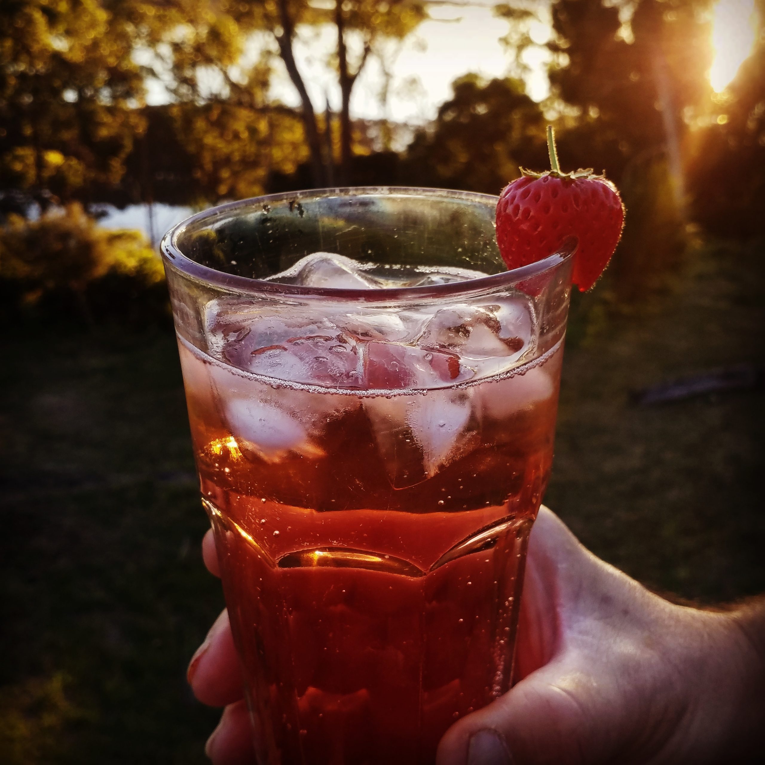 Strawberry Cordial Syrup